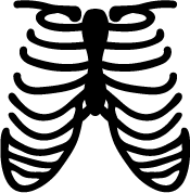 Ribcage Press Icon